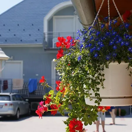 招待所 Kek Vendeghaz Family